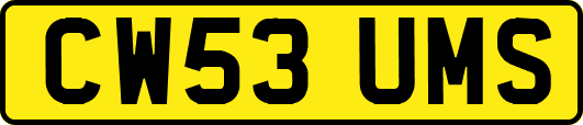 CW53UMS