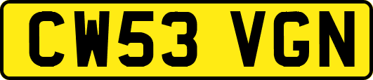 CW53VGN
