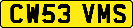 CW53VMS