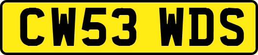 CW53WDS