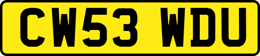 CW53WDU