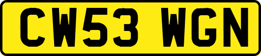CW53WGN