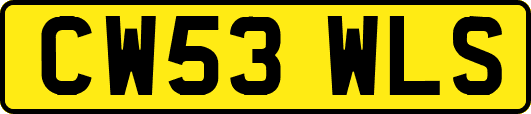 CW53WLS