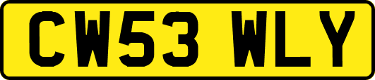 CW53WLY
