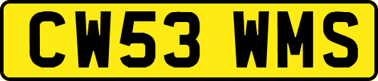 CW53WMS