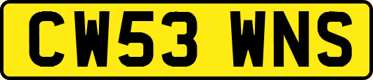 CW53WNS
