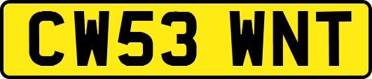 CW53WNT