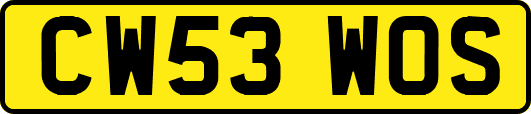 CW53WOS