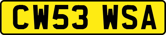 CW53WSA