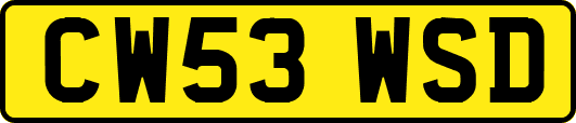 CW53WSD