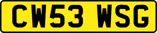 CW53WSG