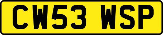 CW53WSP