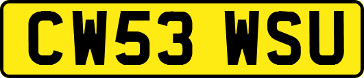 CW53WSU