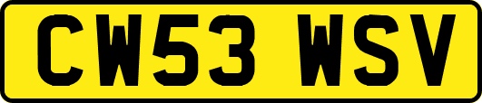 CW53WSV