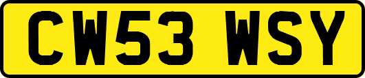 CW53WSY