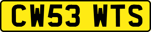 CW53WTS