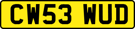 CW53WUD