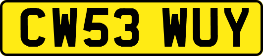 CW53WUY
