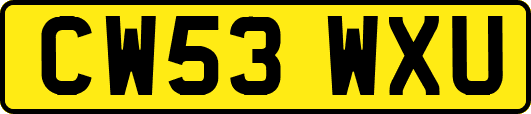 CW53WXU
