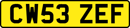 CW53ZEF