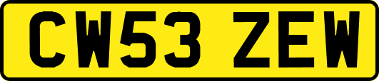 CW53ZEW