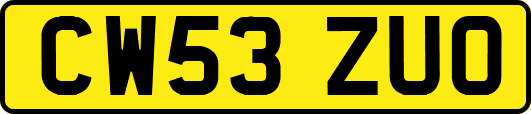 CW53ZUO