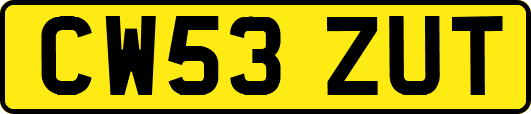 CW53ZUT