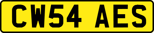 CW54AES