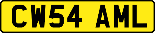 CW54AML