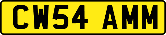 CW54AMM