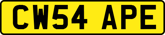 CW54APE