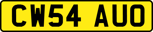 CW54AUO