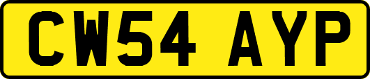 CW54AYP