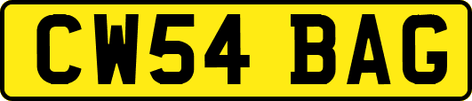 CW54BAG
