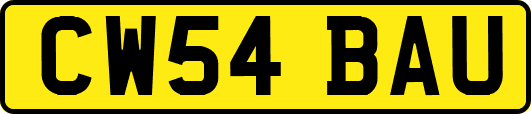 CW54BAU