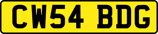 CW54BDG