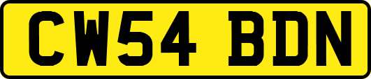 CW54BDN