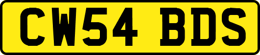 CW54BDS