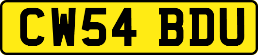 CW54BDU