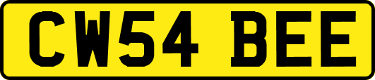 CW54BEE