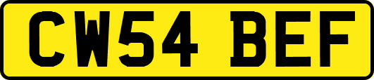 CW54BEF