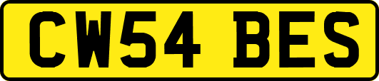 CW54BES