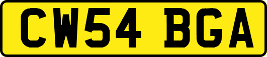 CW54BGA