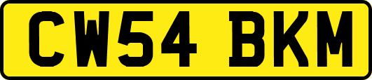 CW54BKM