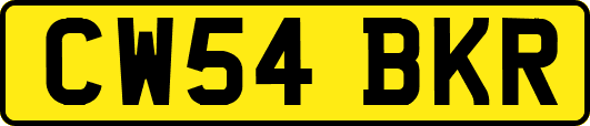 CW54BKR