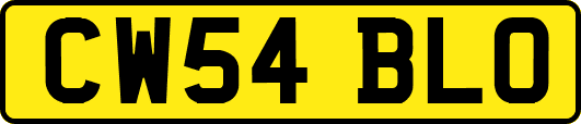 CW54BLO