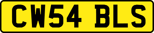 CW54BLS