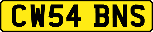 CW54BNS