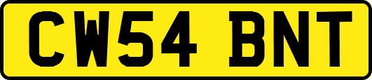 CW54BNT