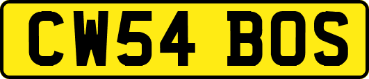 CW54BOS